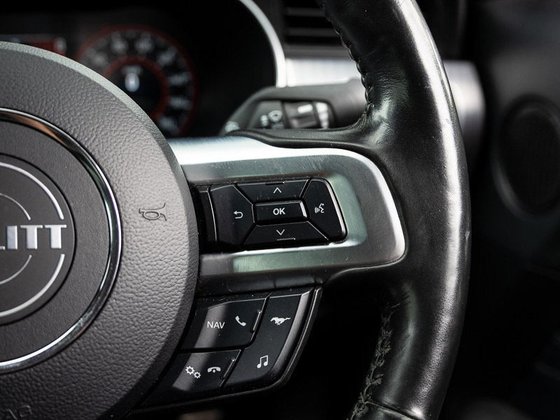 Ford Mustang Ecoboost Grey #16
