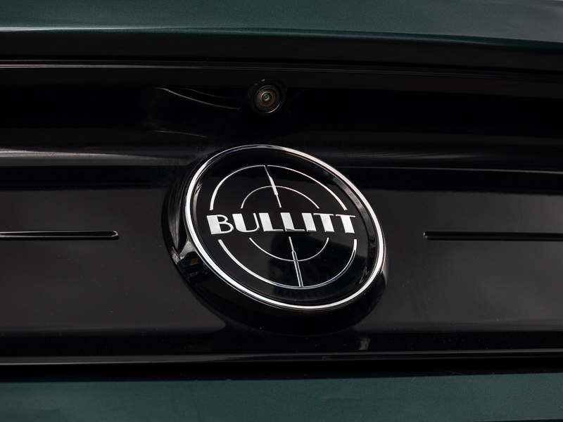 Ford Mustang Ecoboost Grey #19