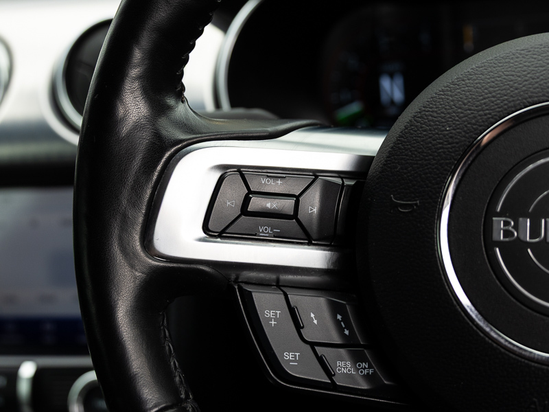 Ford Mustang Ecoboost Grey #15