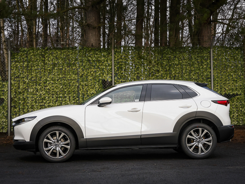 Mazda CX-30 2.0 E-skyactiv X Mhev Takumi Awd White #4