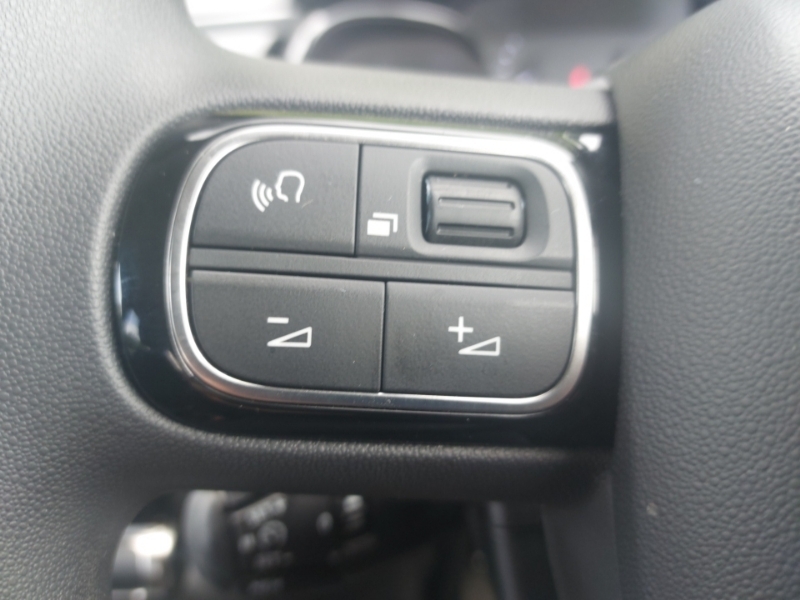 Citroen C3 1.2 Puretech 110 Max Eat6 2024 Grey #11