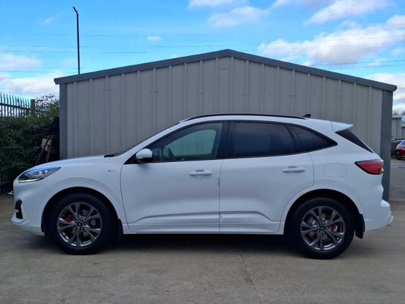 Ford Kuga 2.0 Ecoblue Mhev St-line White #4