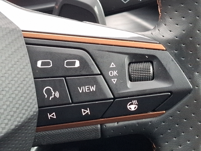 Cupra Formentor 1.4 Ehybrid 204 V2 Dsg Black #13