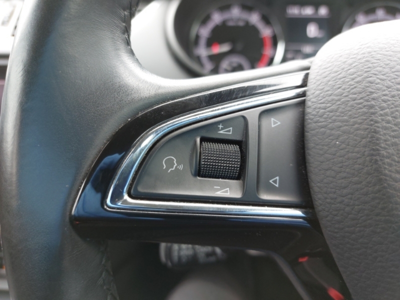 Skoda Octavia  Black #12