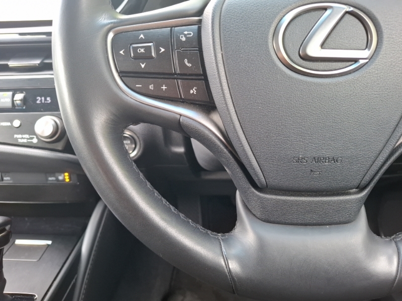 Lexus ES 300H 2.5 Cvt Premium Edition Red #12