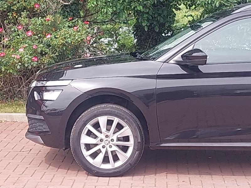 Skoda Kamiq Se Grey #19