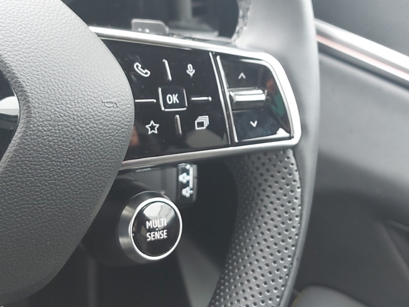 Renault Scenic Esprit Alpine Black #13