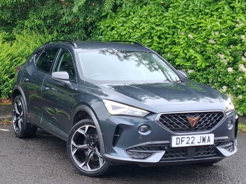 Cupra Formentor 1.5 Tsi 150 V2 Dsg Grey