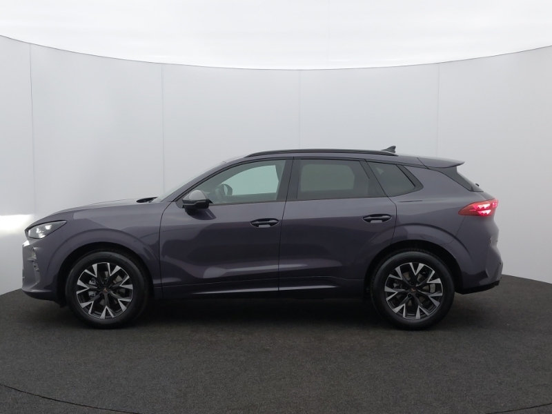 Cupra Terramar 1.5 Etsi 150 V1 Dsg Purple #4