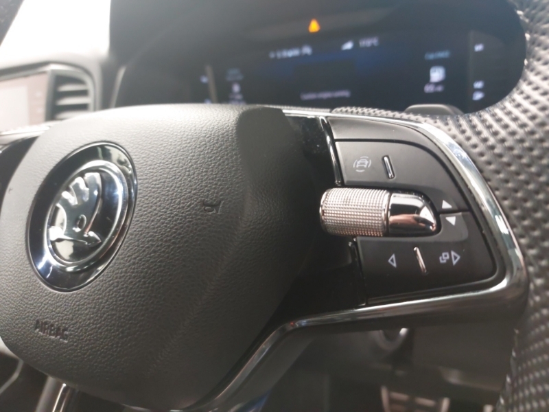 Skoda Karoq Se Grey #13