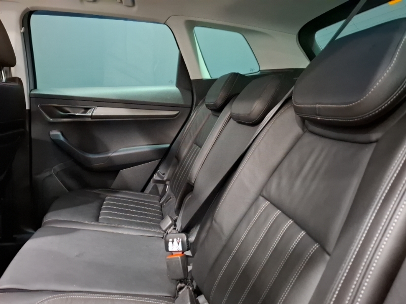 Skoda Karoq 2.0 Tdi Edition 4X4 Dsg Grey #6