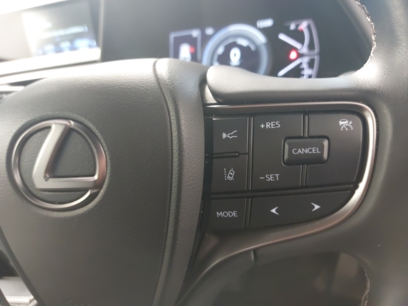 Lexus UX 54.3Kwh Black #13