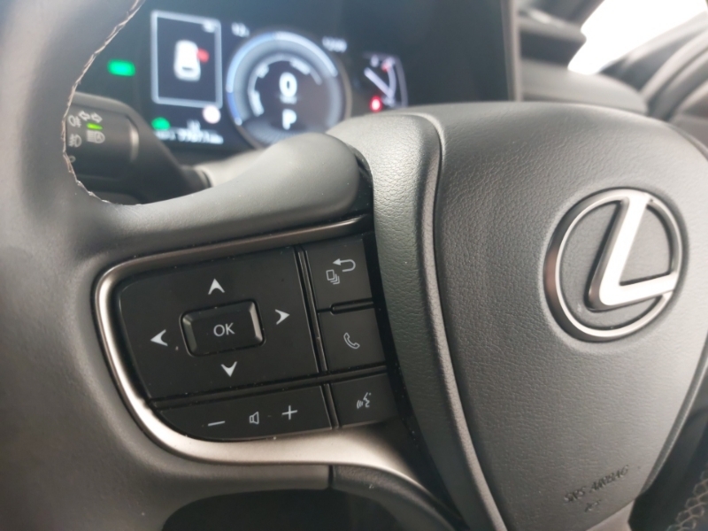 Lexus UX 54.3Kwh Black #12