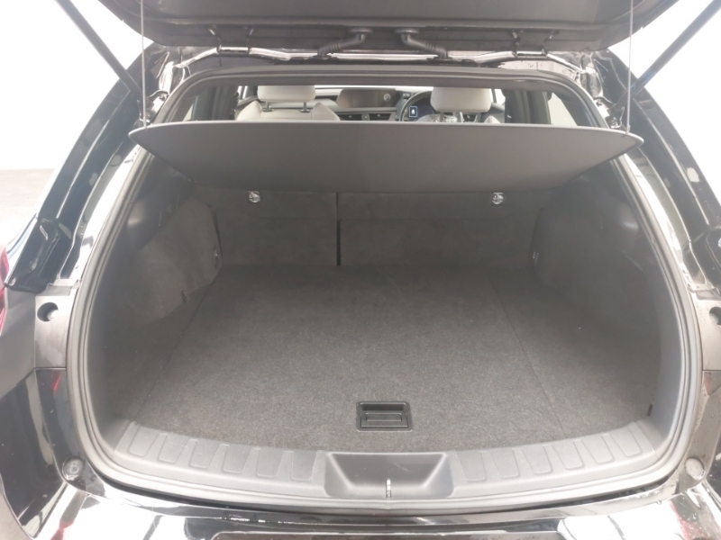 Lexus UX 54.3Kwh Black #18