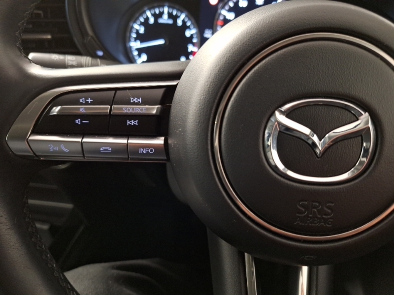 Mazda CX-30 Gt Sport Tech Silver #10