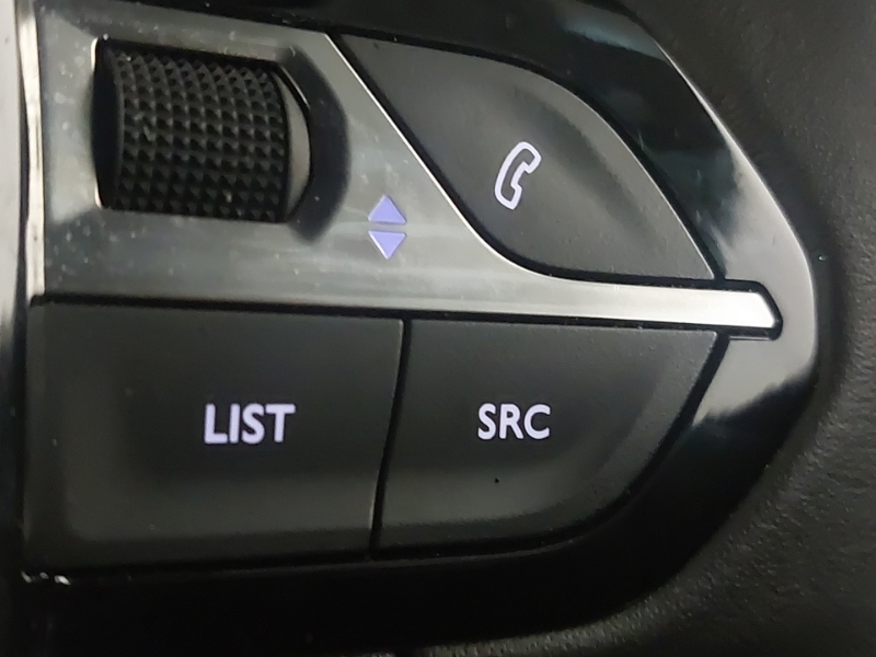 Peugeot 2008 Active Grey #12