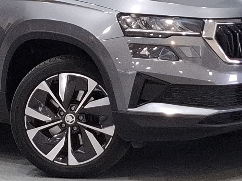 Skoda Karoq Se Technology Blue #20