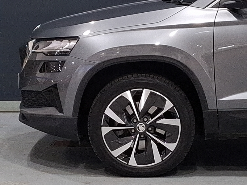 Skoda Karoq Se Technology Blue #19