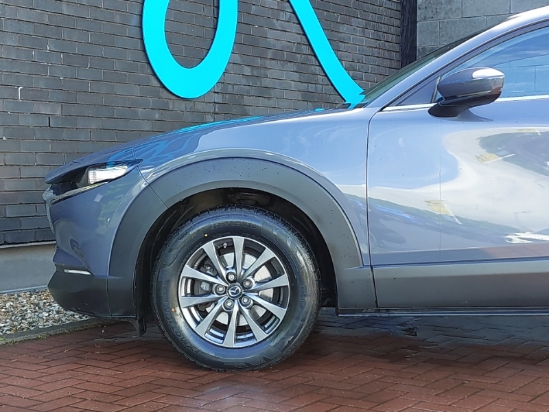 Mazda CX-30 2.0 E-skyactiv G Red #19