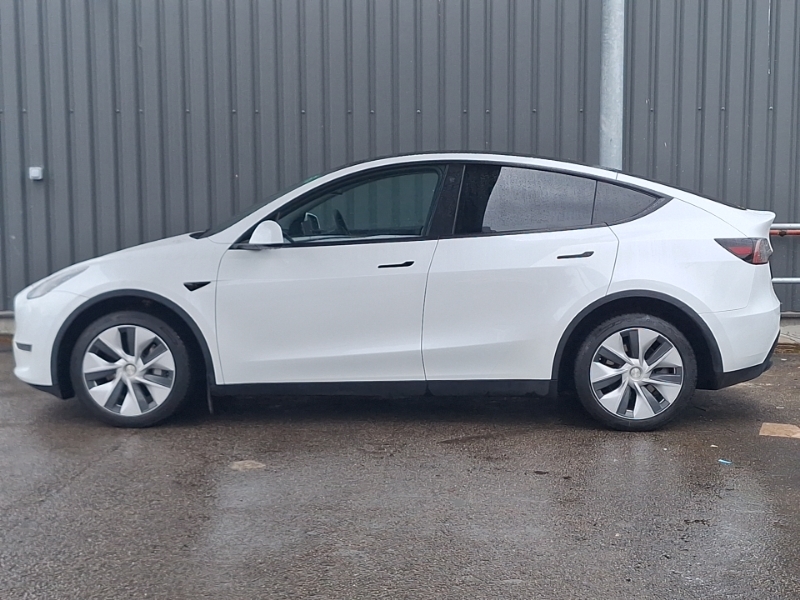 Tesla Model Y Long Range Awd White #4