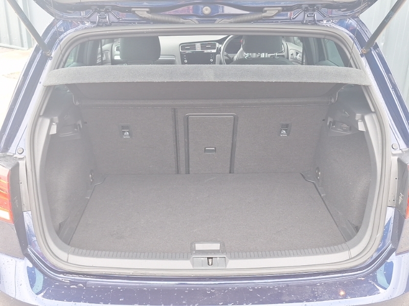 Volkswagen Golf Se Nav Silver #18