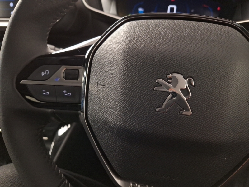 Peugeot 208 Active Premium Grey #12