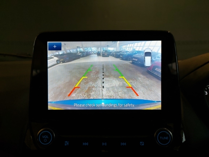 Ford Ecosport St-line Grey #12