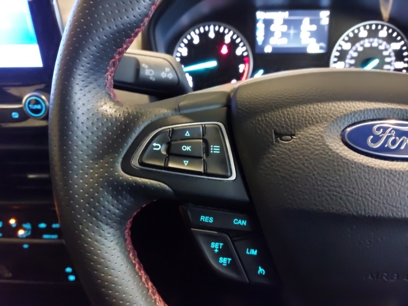 Ford Ecosport St-line Grey #10