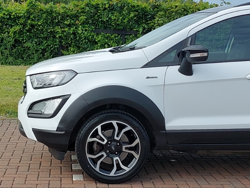 Ford Ecosport St-line White #19