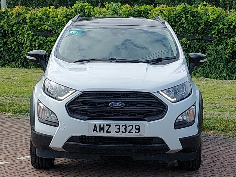 Ford Ecosport St-line White #14