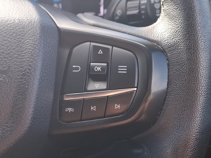 Ford Ranger 2.0 Td Ecoblue Tremor Pickup Double Cab  #18