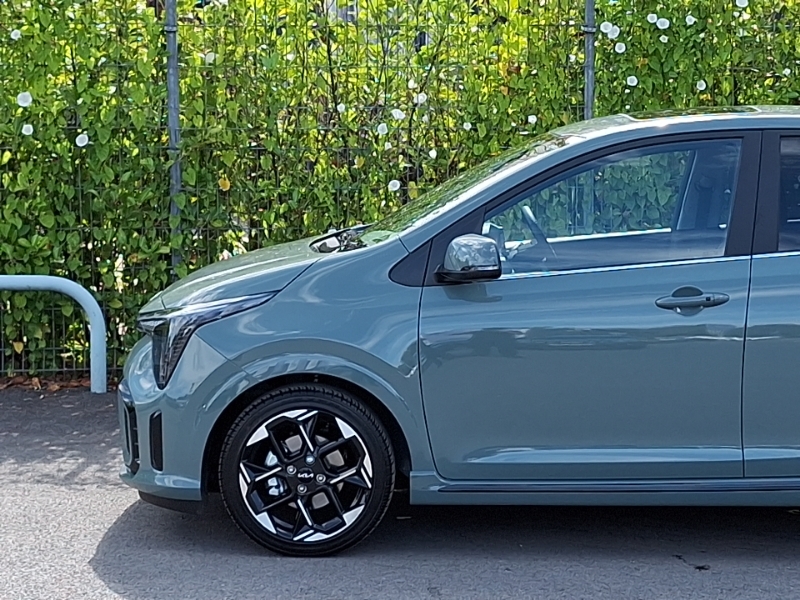 Kia Picanto Hat 1.0 66Bhp Gt-line White #19