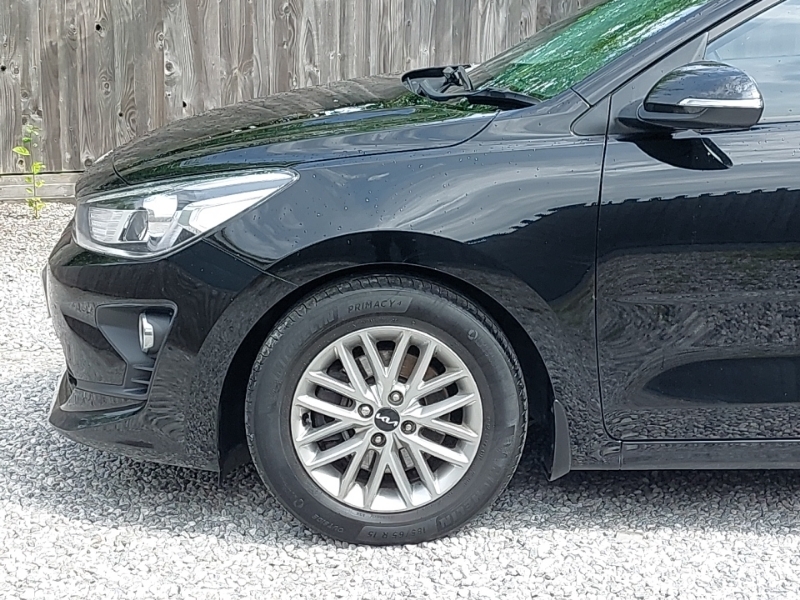 Kia RIO 1.0 T-gdi 48V 3 Blue #19