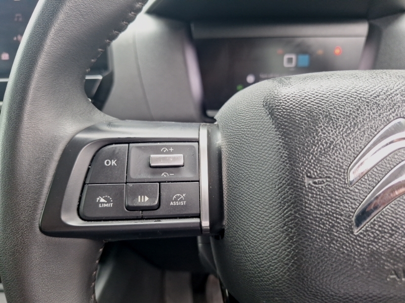 Citroen C4 1.2 Puretech Max Eat8 Euro 6 Ss Grey #12