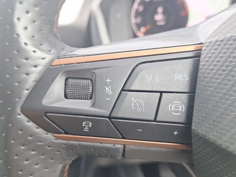 Cupra Formentor V2 Tsi 150 7-Speed Black #12