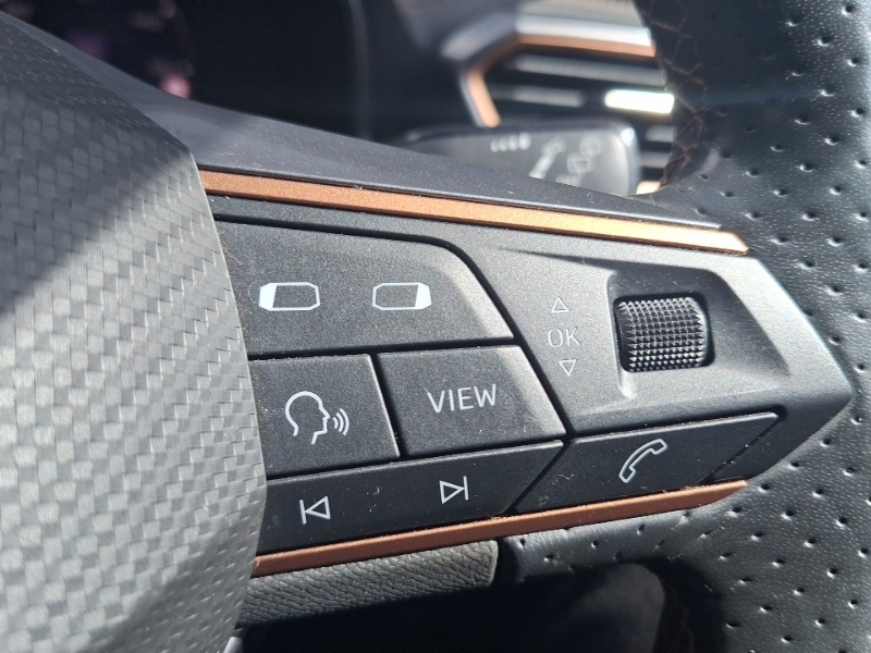 Cupra Formentor V2 Tsi 150 7-Speed Black #13