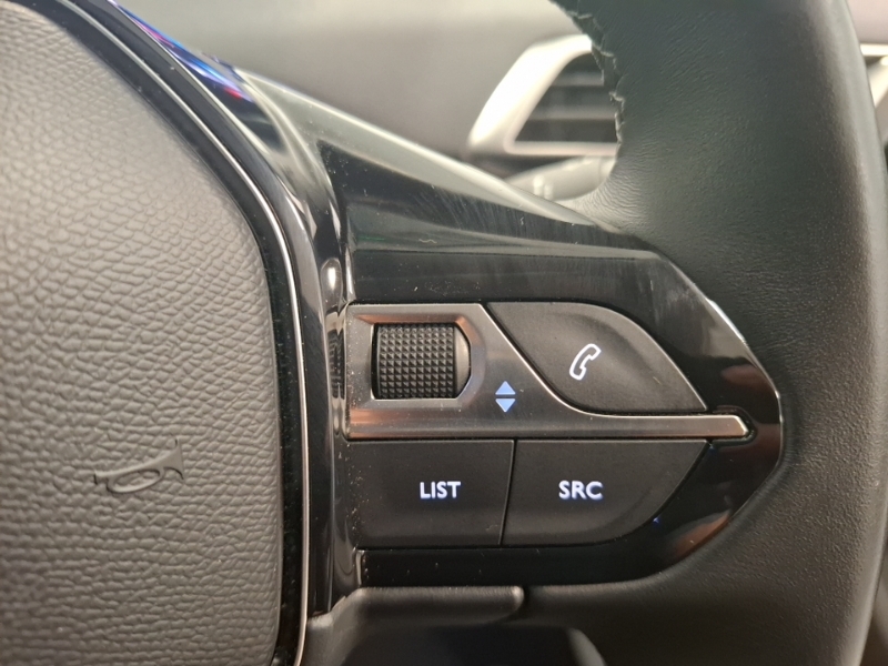 Peugeot 3008 Active Premium Grey #13