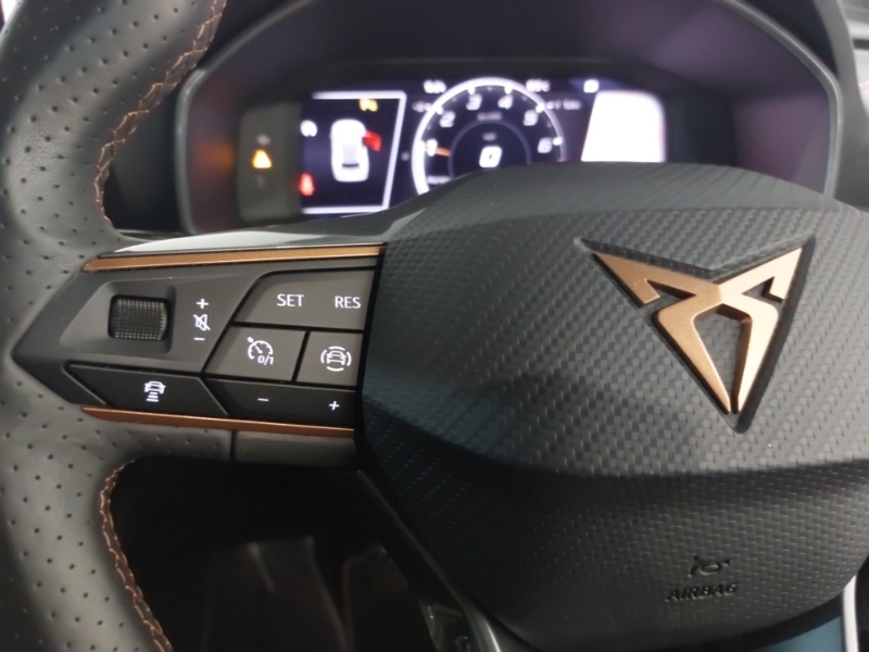 Cupra Formentor 2.0 Tsi Vz1 Dsg Euro 6 Ss #12