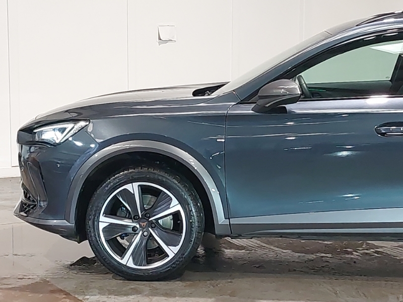 Cupra Formentor 2.0 Tsi Vz1 Dsg Euro 6 Ss #19