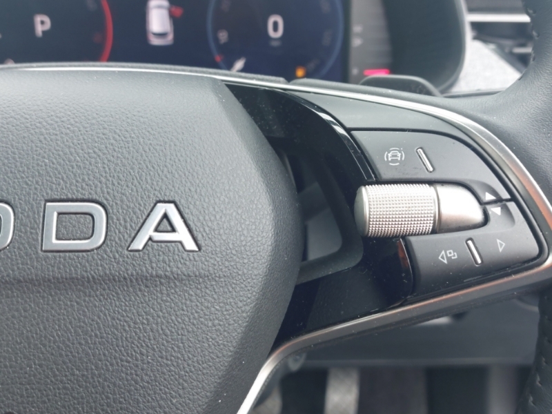 Skoda Kamiq Se Edition Grey #13