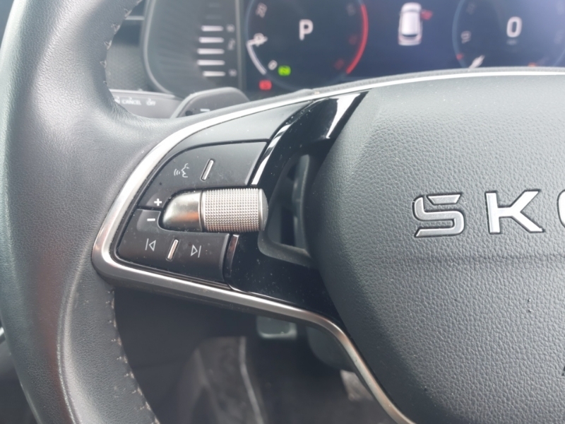 Skoda Kamiq Se Edition Grey #12