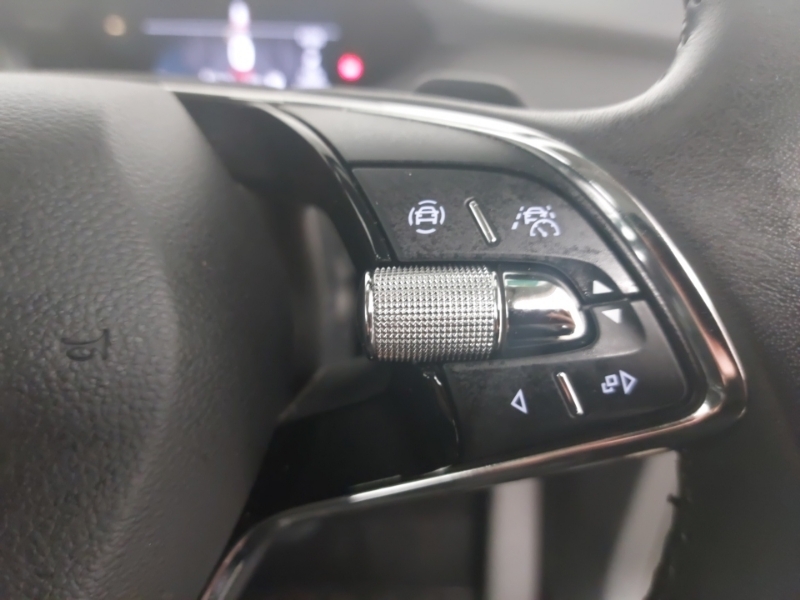 Skoda ENYAQ Suv Silver #13