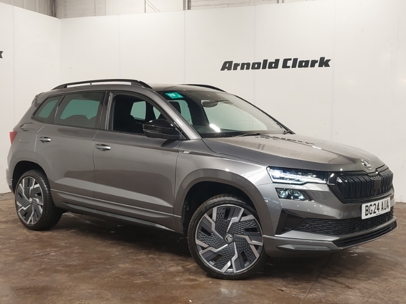 Skoda Karoq Se Drive Grey #7