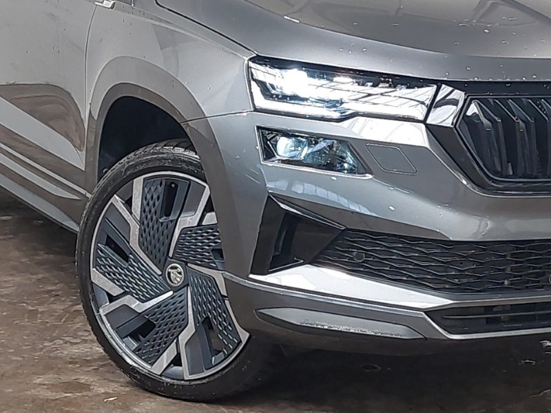 Skoda Karoq Se Drive Grey #20