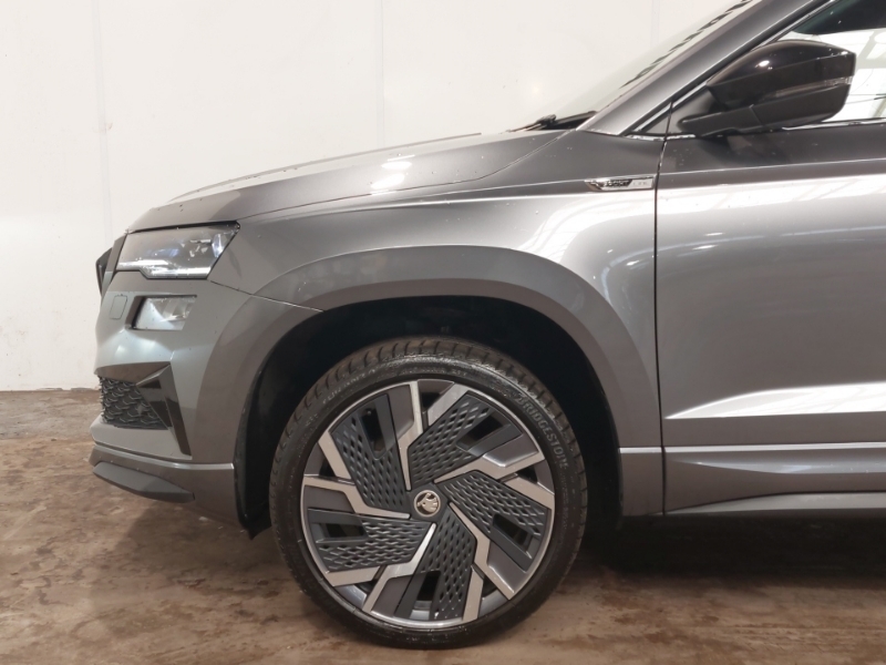 Skoda Karoq Se Drive Grey #19
