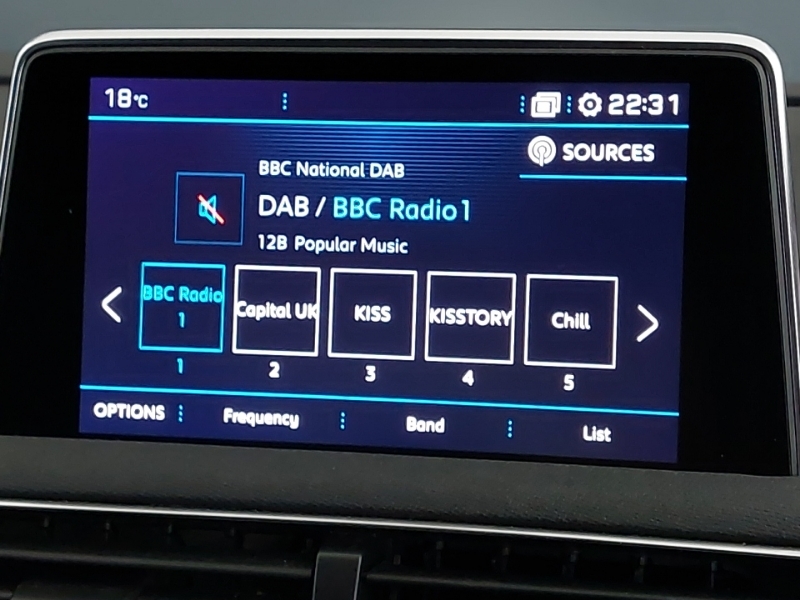 Peugeot 3008 Bluehdi Ss Active Blue #11