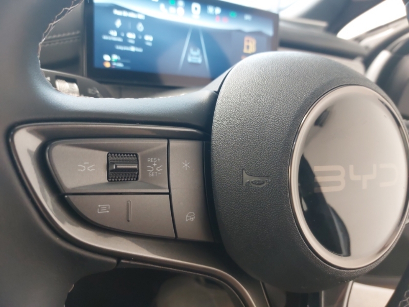 Byd Seal 390Kw Excellence Awd 83Kwh Green #13