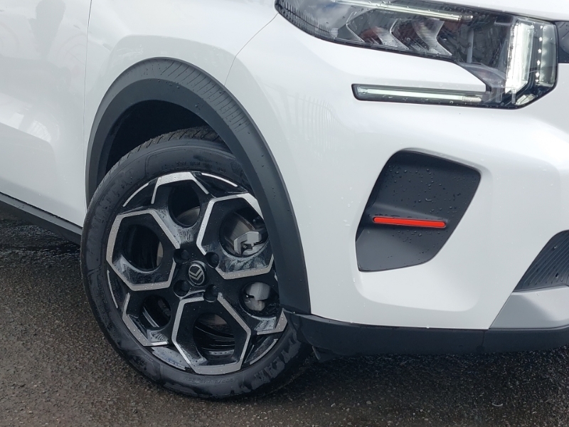 Citroen C3 83Kw Plus 44Kwh 2025 White #20