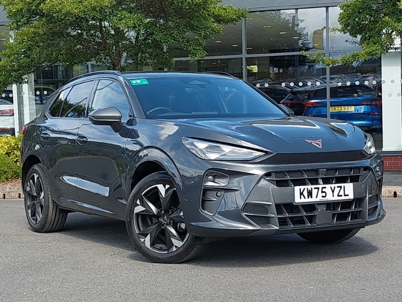 Cupra Terramar 1.5 Etsi 150 V2 Dsg Grey