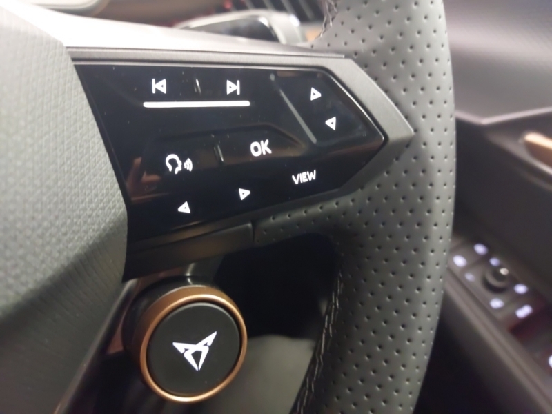 Cupra Tavascan 210Kw V1 77Kwh Blue #19